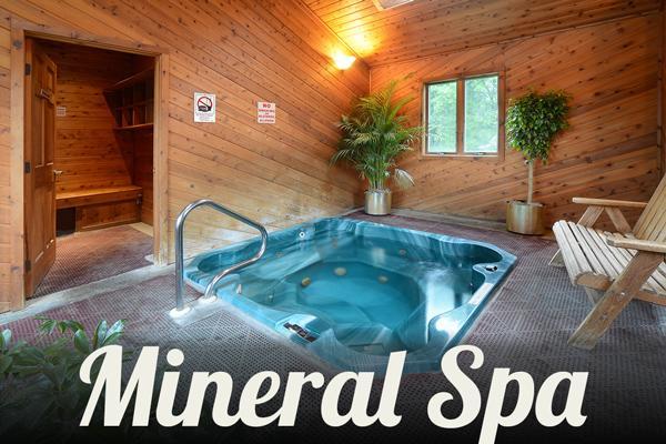 Turf And Spa Motel 萨拉托加斯普林斯 外观 照片